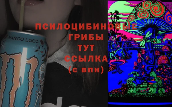 прущие крисы Богородск