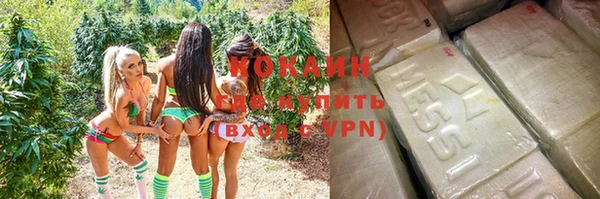 метадон Богданович