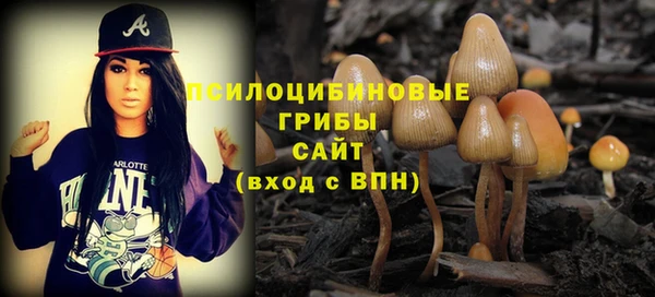 метадон Богданович