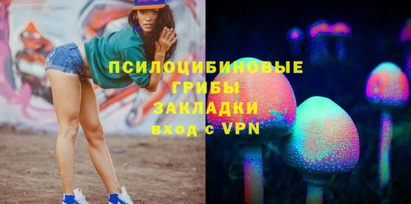 хмурый Богородицк