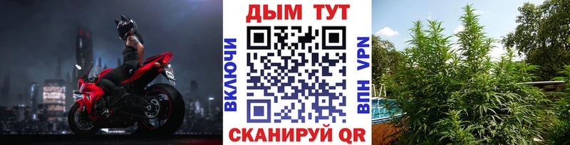 как найти   ОМГ ОМГ сайт  Бошки марихуана сатива  Бодайбо 